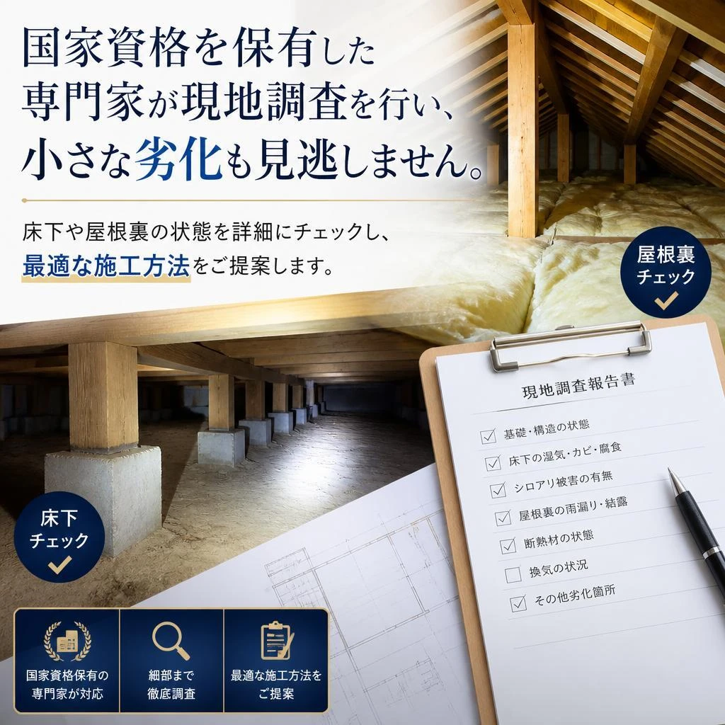 専門的な現地調査の実施